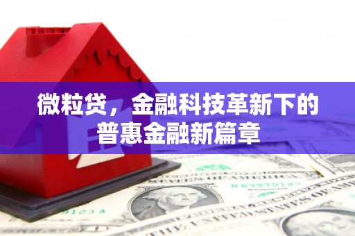 太湖微粒贷，金融科技革新下的普惠金融新篇章
