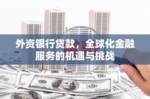 太湖外资银行贷款，全球化金融服务的机遇与挑战
