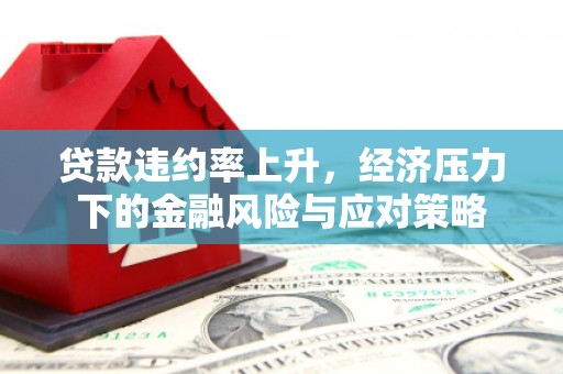 太湖贷款违约率上升，经济压力下的金融风险与应对策略