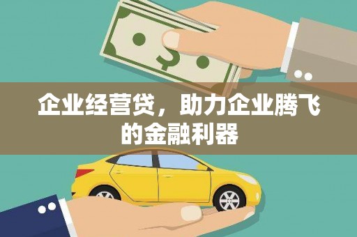 太湖企业经营贷，助力企业腾飞的金融利器