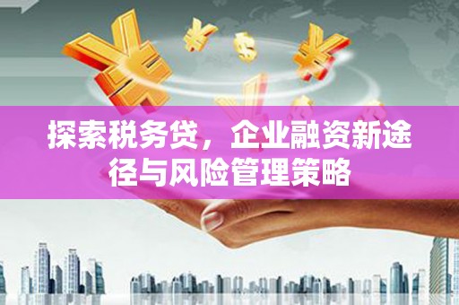 太湖探索税务贷，企业融资新途径与风险管理策略