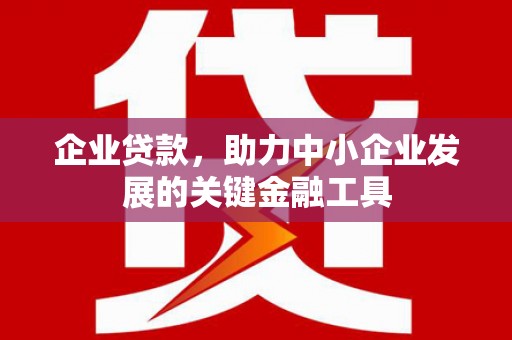 太湖企业贷款，助力中小企业发展的关键金融工具