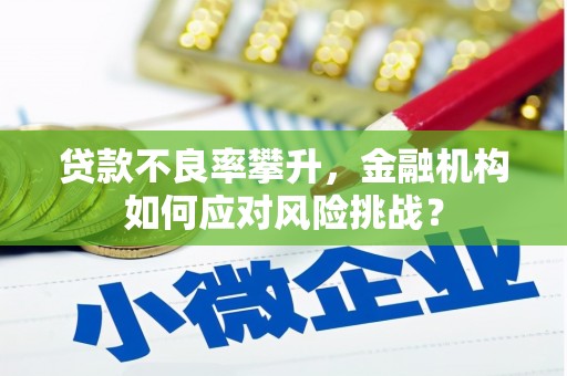 太湖贷款不良率攀升，金融机构如何应对风险挑战？