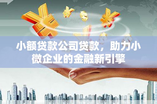 太湖小额贷款公司贷款，助力小微企业的金融新引擎