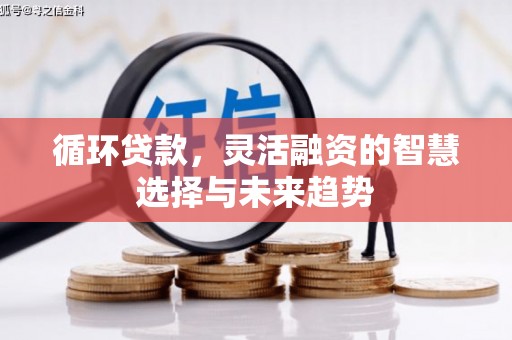 太湖循环贷款，灵活融资的智慧选择与未来趋势