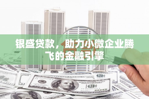 太湖银盛贷款，助力小微企业腾飞的金融引擎