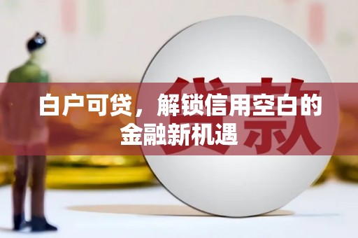 太湖白户可贷，解锁信用空白的金融新机遇