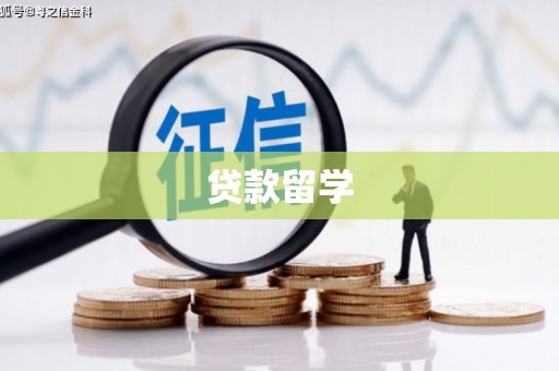 太湖贷款留学