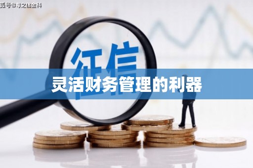 太湖灵活财务管理的利器