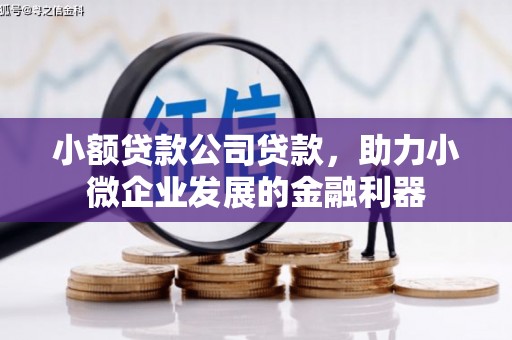 太湖小额贷款公司贷款，助力小微企业发展的金融利器