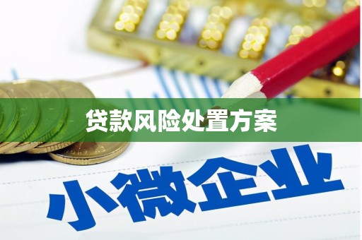 太湖贷款风险处置方案