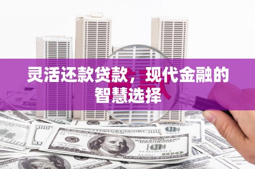 太湖灵活还款贷款，现代金融的智慧选择