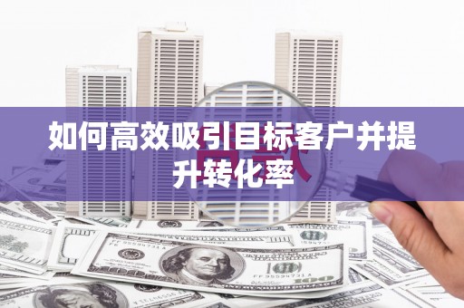 太湖如何高效吸引目标客户并提升转化率