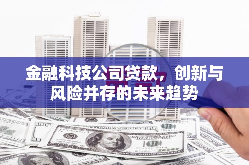 太湖金融科技公司贷款，创新与风险并存的未来趋势