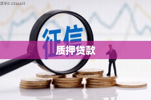 太湖质押贷款