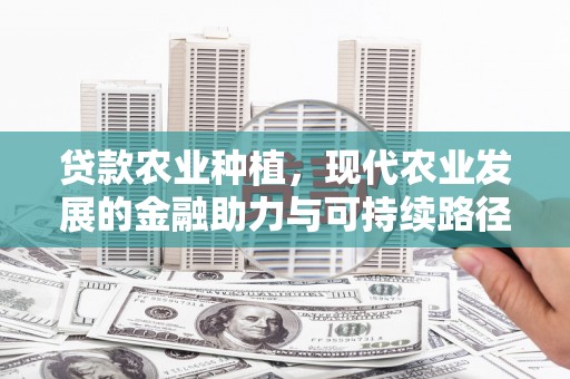 太湖贷款农业种植，现代农业发展的金融助力与可持续路径