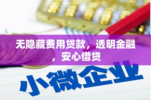 太湖无隐藏费用贷款，透明金融，安心借贷