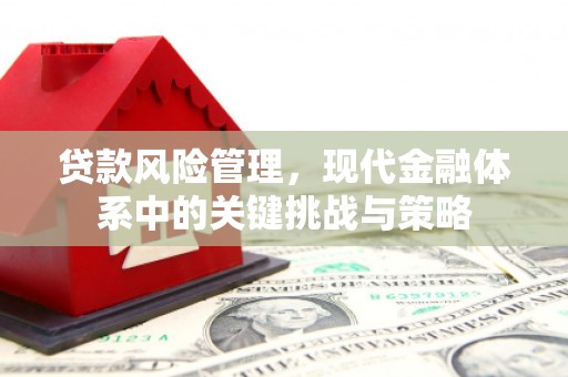 太湖贷款风险管理，现代金融体系中的关键挑战与策略