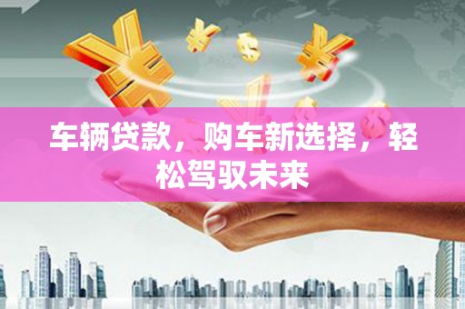 太湖车辆贷款，购车新选择，轻松驾驭未来