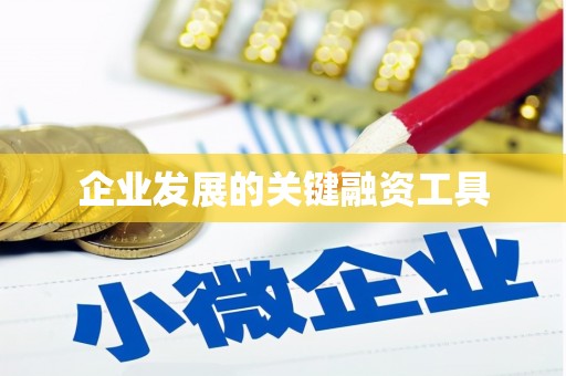 太湖企业发展的关键融资工具