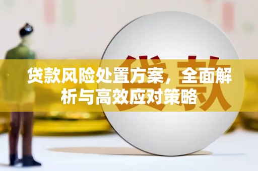 太湖贷款风险处置方案，全面解析与高效应对策略