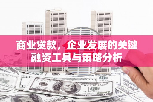 太湖商业贷款，企业发展的关键融资工具与策略分析