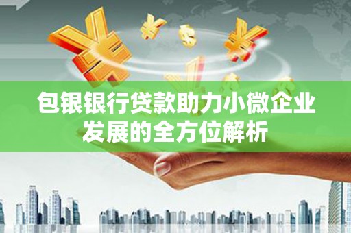 太湖包银银行贷款助力小微企业发展的全方位解析