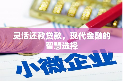 太湖灵活还款贷款，现代金融的智慧选择