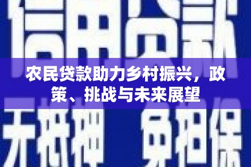 太湖农民贷款助力乡村振兴，政策、挑战与未来展望