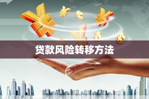 太湖贷款风险转移方法