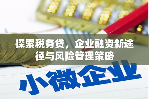 太湖探索税务贷，企业融资新途径与风险管理策略