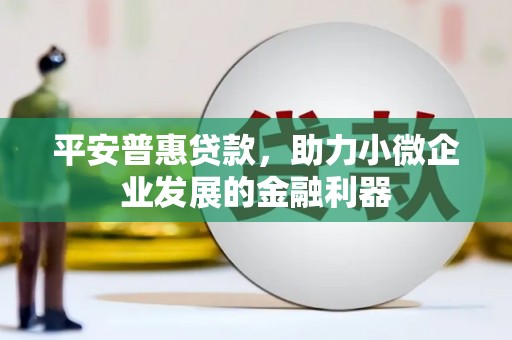太湖平安普惠贷款，助力小微企业发展的金融利器