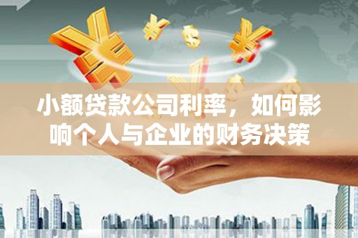 太湖小额贷款公司利率，如何影响个人与企业的财务决策