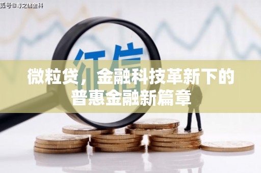 太湖微粒贷，金融科技革新下的普惠金融新篇章