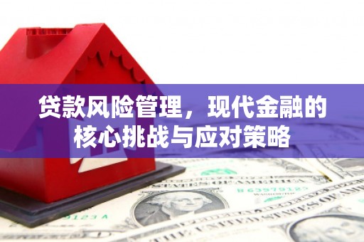 太湖贷款风险管理，现代金融的核心挑战与应对策略