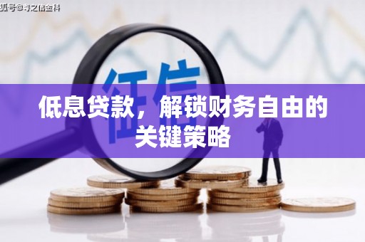 太湖低息贷款，解锁财务自由的关键策略