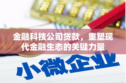 太湖金融科技公司贷款，重塑现代金融生态的关键力量