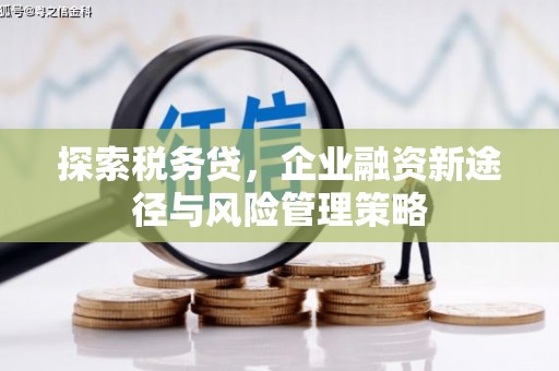 太湖探索税务贷，企业融资新途径与风险管理策略