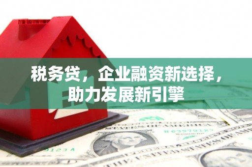 太湖税务贷，企业融资新选择，助力发展新引擎