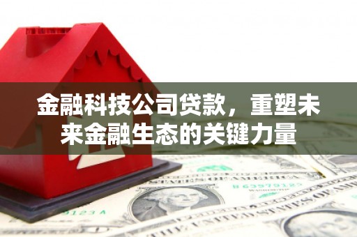 太湖金融科技公司贷款，重塑未来金融生态的关键力量