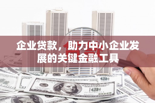 太湖企业贷款，助力中小企业发展的关键金融工具