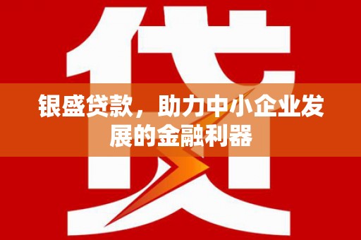 太湖银盛贷款，助力中小企业发展的金融利器