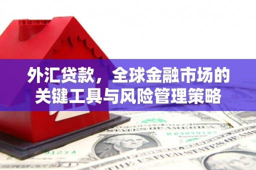 太湖外汇贷款，全球金融市场的关键工具与风险管理策略