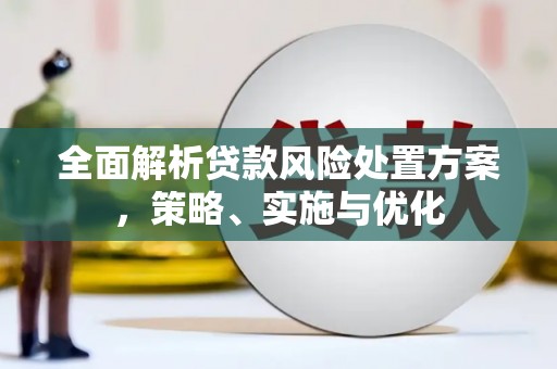 太湖全面解析贷款风险处置方案，策略、实施与优化