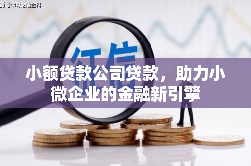 太湖小额贷款公司贷款，助力小微企业的金融新引擎