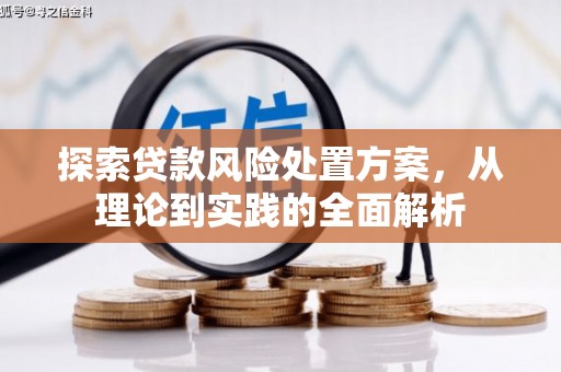 太湖探索贷款风险处置方案，从理论到实践的全面解析