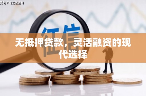 太湖无抵押贷款，灵活融资的现代选择