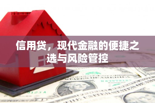 太湖信用贷，现代金融的便捷之选与风险管控