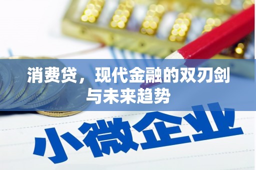 太湖消费贷，现代金融的双刃剑与未来趋势