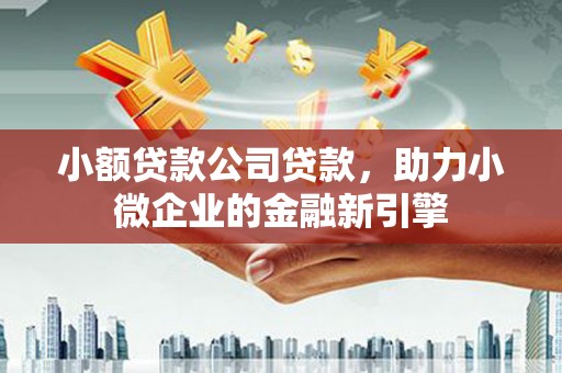 太湖小额贷款公司贷款，助力小微企业的金融新引擎